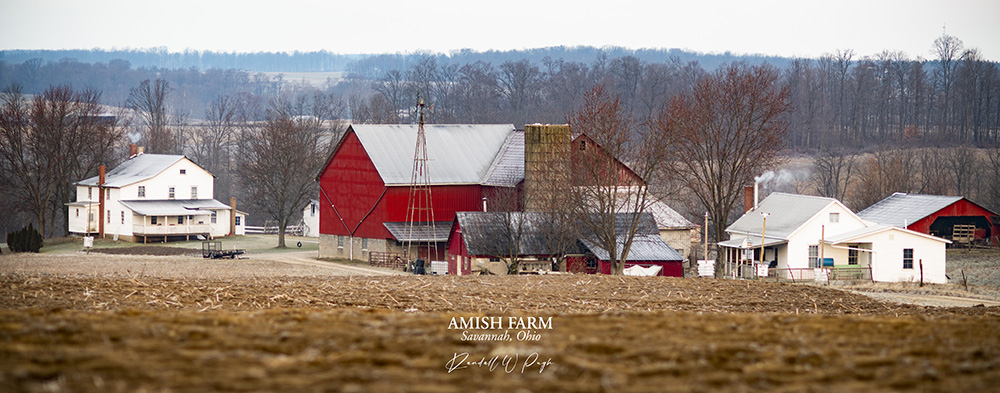 Amish Farm